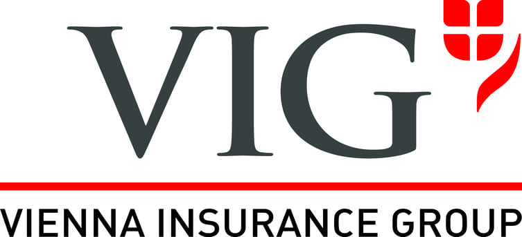 VIG Logo