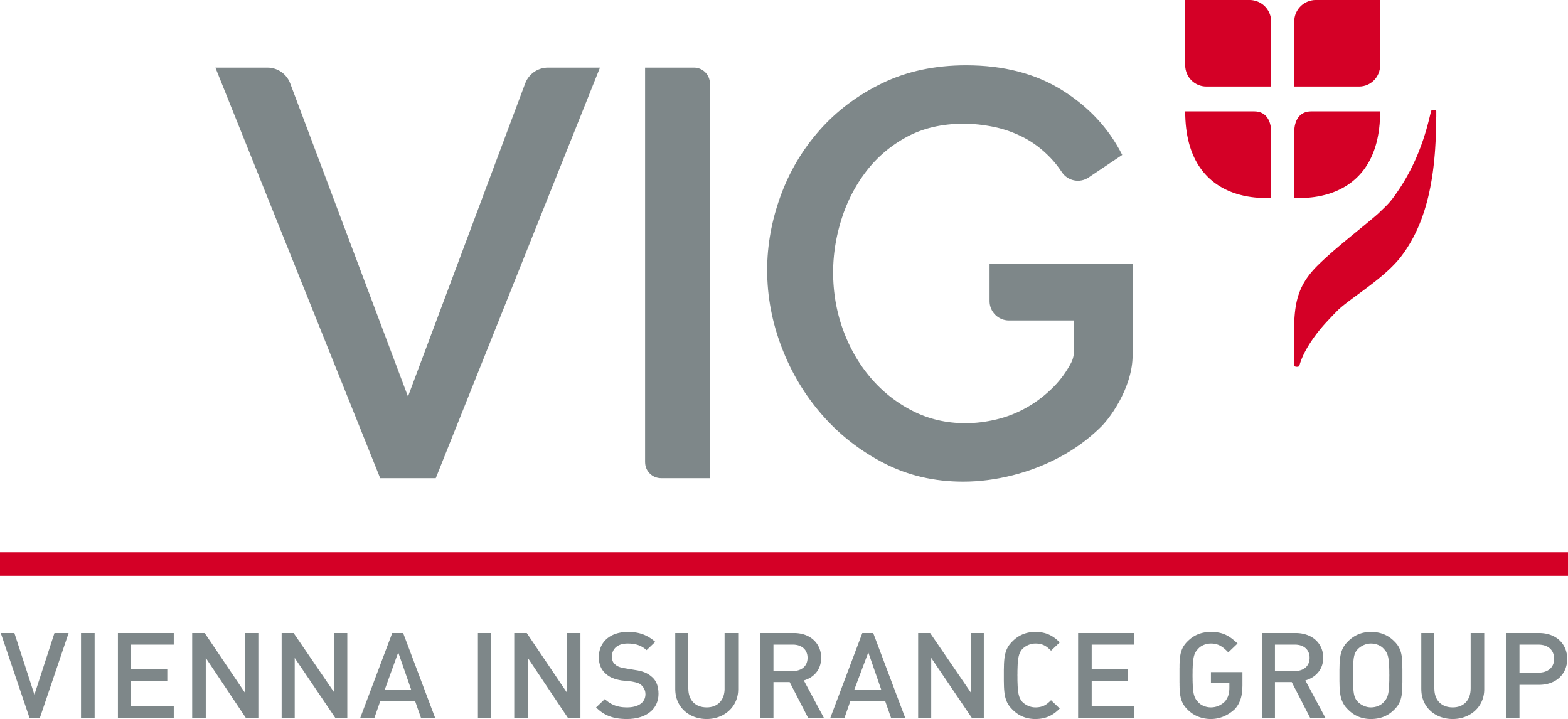 VIG Logo